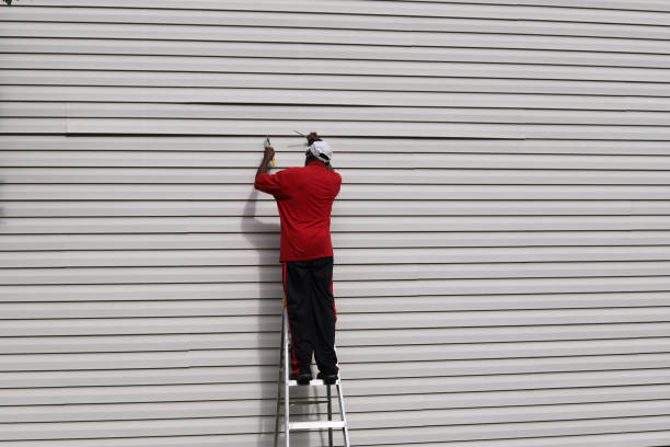 Affordable Siding Repair and Maintenance Services in Fowler, IN